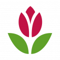 Favicon conseils-jardin.willemsefrance.fr