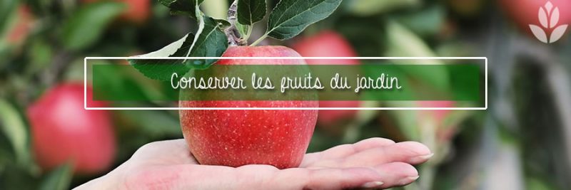 Comment Conserver Les Fruits Du Jardin ? - Conseil Jardin Willemse