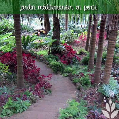 jardin méditerranéen en pente