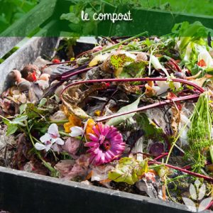 le compost dans le jardin