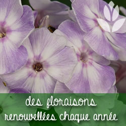 des floraisons renouvellées chaque année