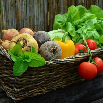 les légumes indispensables du potager