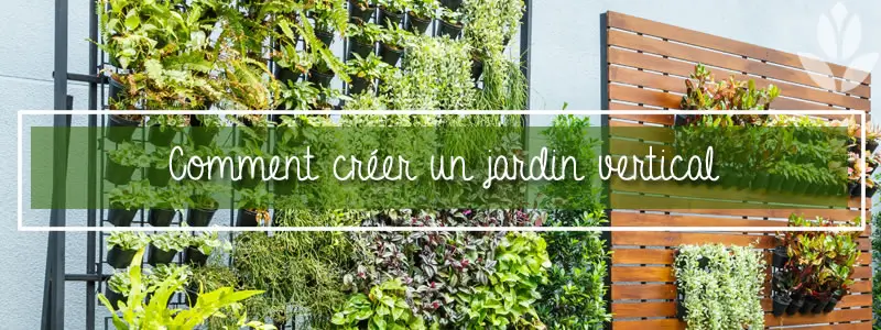 "Comment créer un jardin vertical"