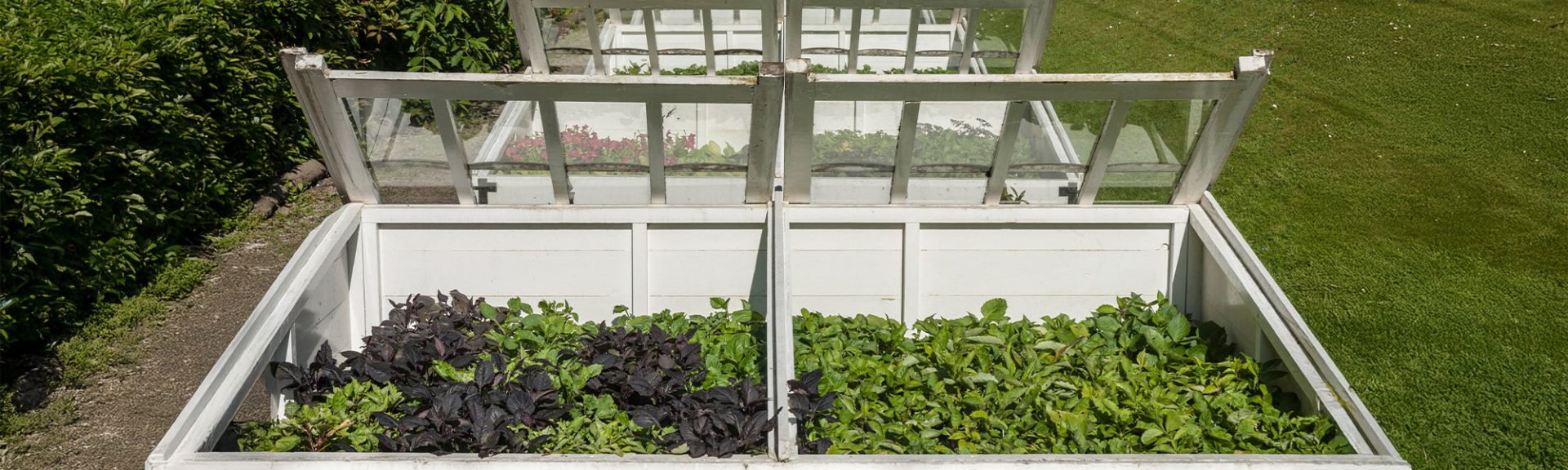 châssis potager