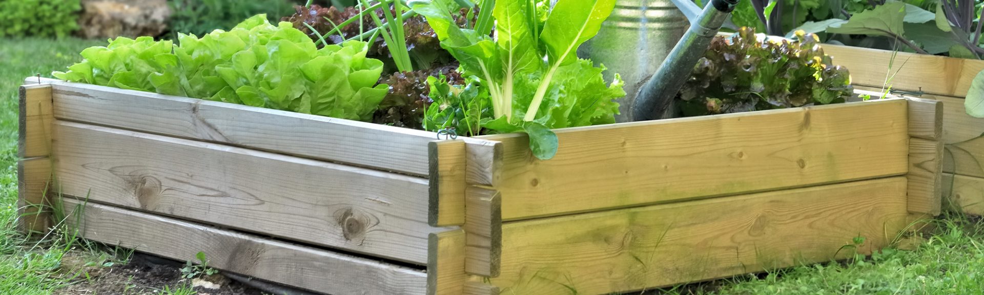 Carrés potagers et bacs