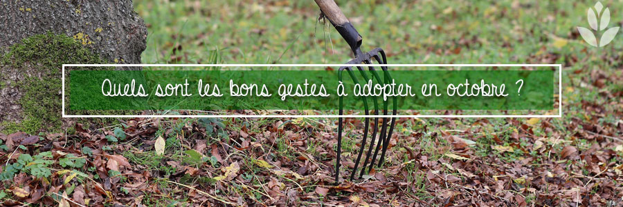 Les bonnes pratiques pour le jardin en octobre