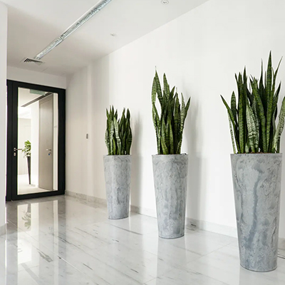 Un couloir avec des plantes
