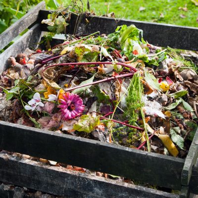Compost potager bio