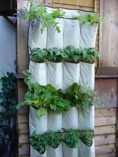 jardins verticaux en intérieur