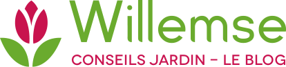 Logo Willemse conseils jardin