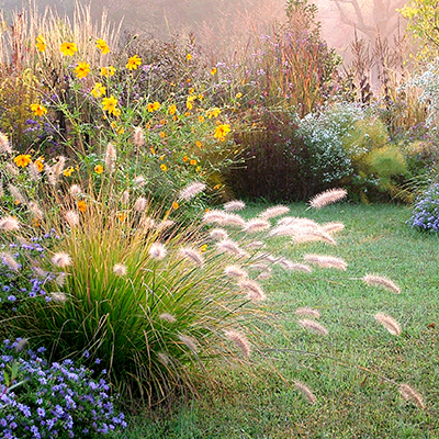 Un beau jardin qui comprend des fleurs, des graines et des feuillages de vivaces,