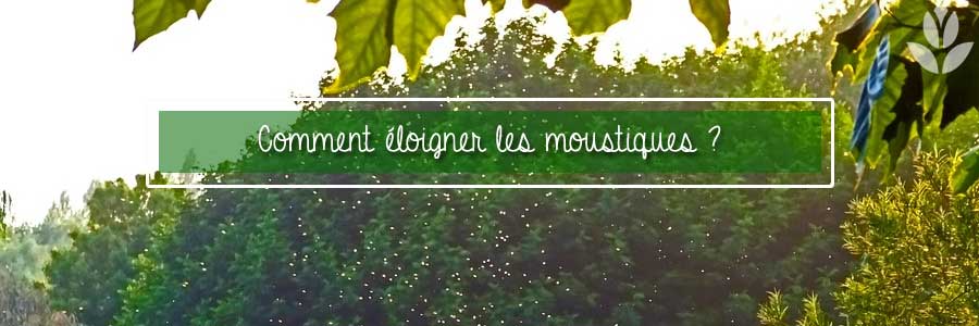 éloigner les moustiques du jardin