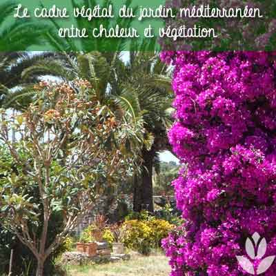 jardin méditerranéen cadre