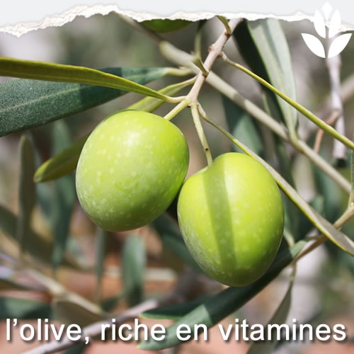 olives riches en vitamines