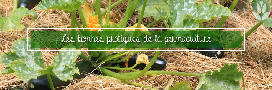 Les bonnes pratiques de la permaculture