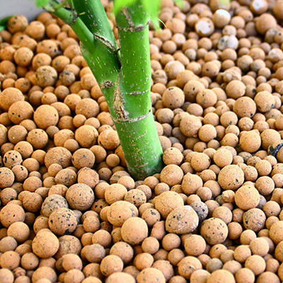 paillage en billes d'argile dans pot de plante