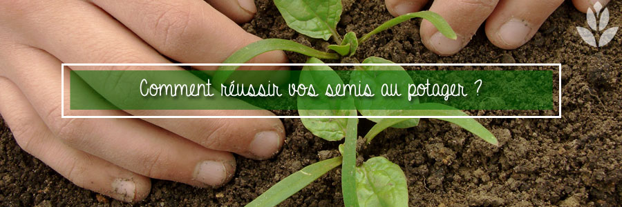 Coment réussir vos semis au potager ?