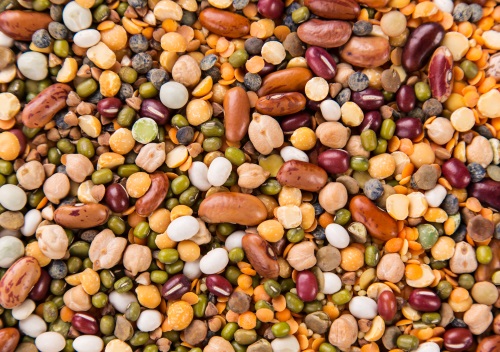 La récolte et la conservation des graines au potager