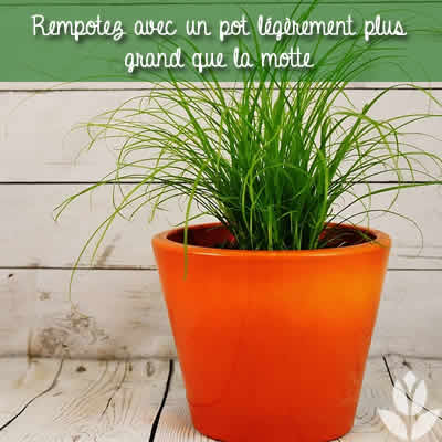 pot plus grand