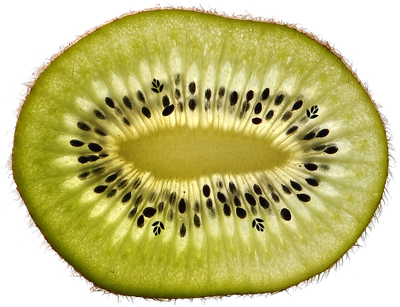 kiwi willemse