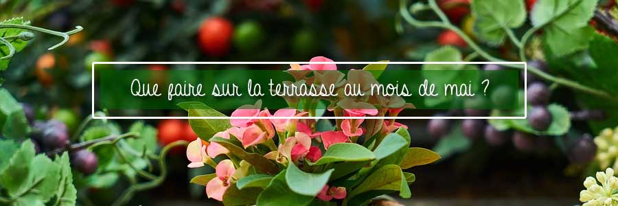 que faire sur la terrase en mai?