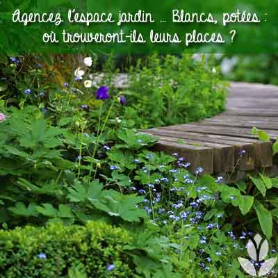 agencement du jardin en juin