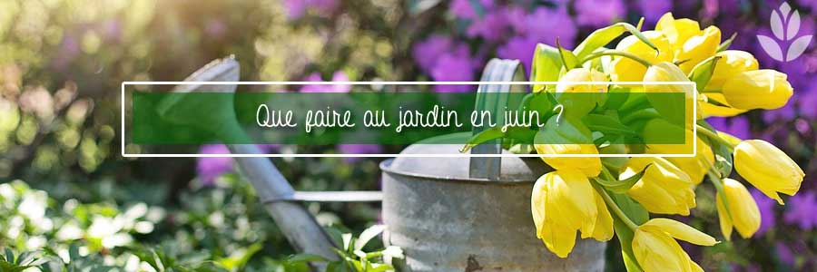 que faire au jardin en juin?