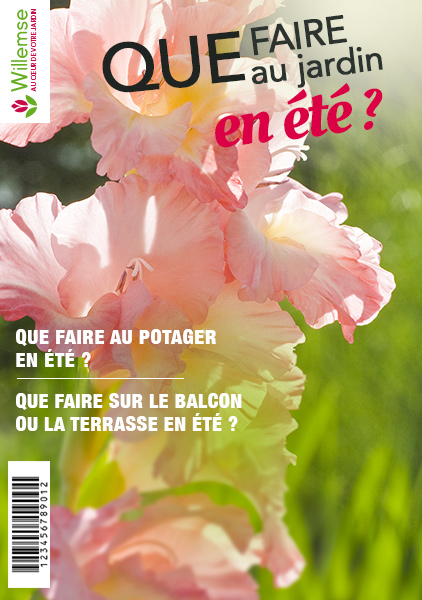 que faire au jardin en été, Willemse a la réponse