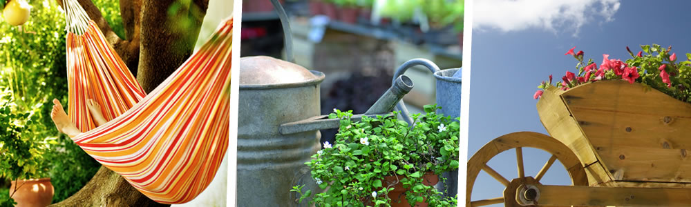 soins à apporter aux plantes vivaces durant l'été