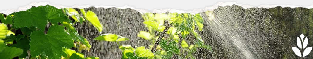 brumisateur jardin