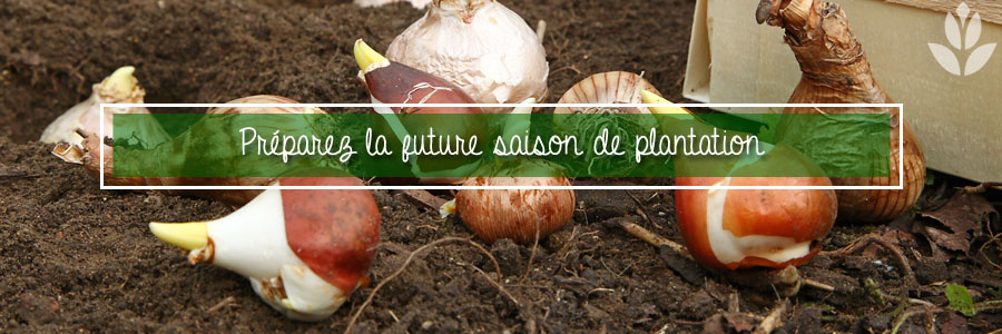 Préparez la future saison de plantation en automne