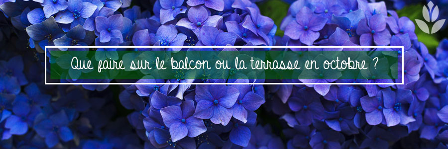 que faire sur le balcon ou la terrasse en octobre ?