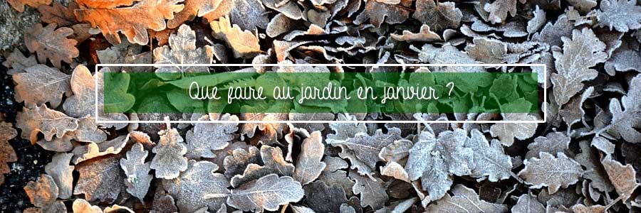 jardin en janvier