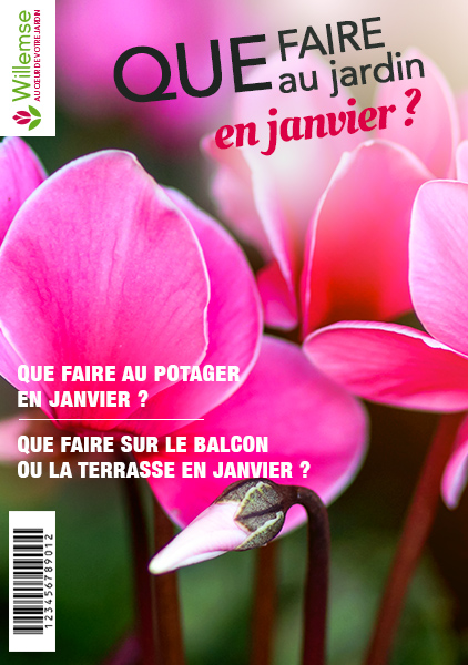 magazine_janvier