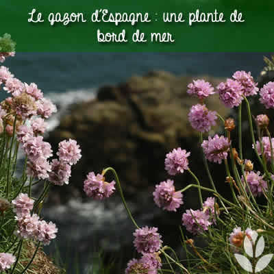 gazon espagne mer