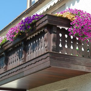 plantes sur balcon