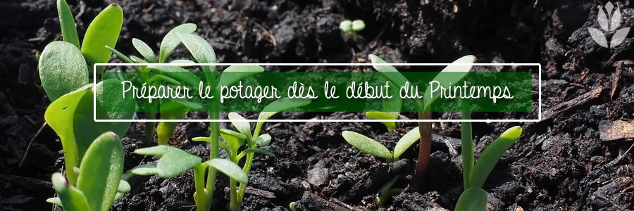 préparer le potager au printemps