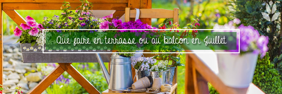 Que faire en terrasse ou au balcon en Juillet ?