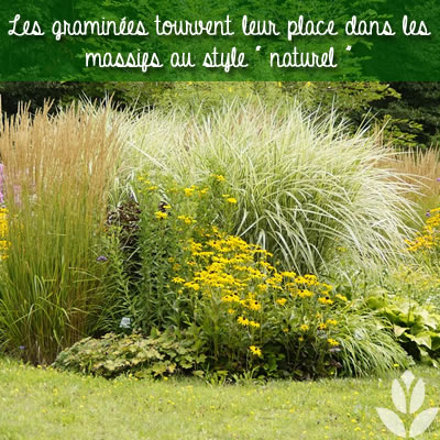 graminée au style naturel