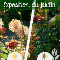 l'exposition du jardin