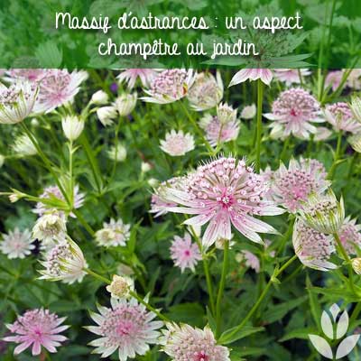 massif d'astrances