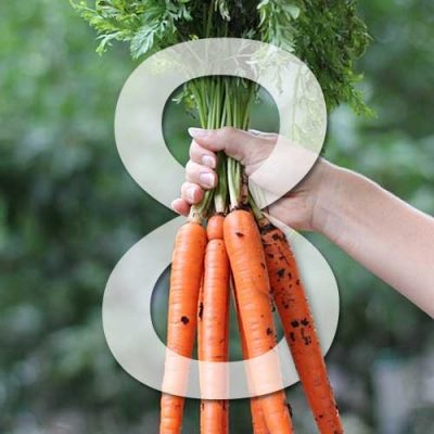 8 légumes faciles à cultiver