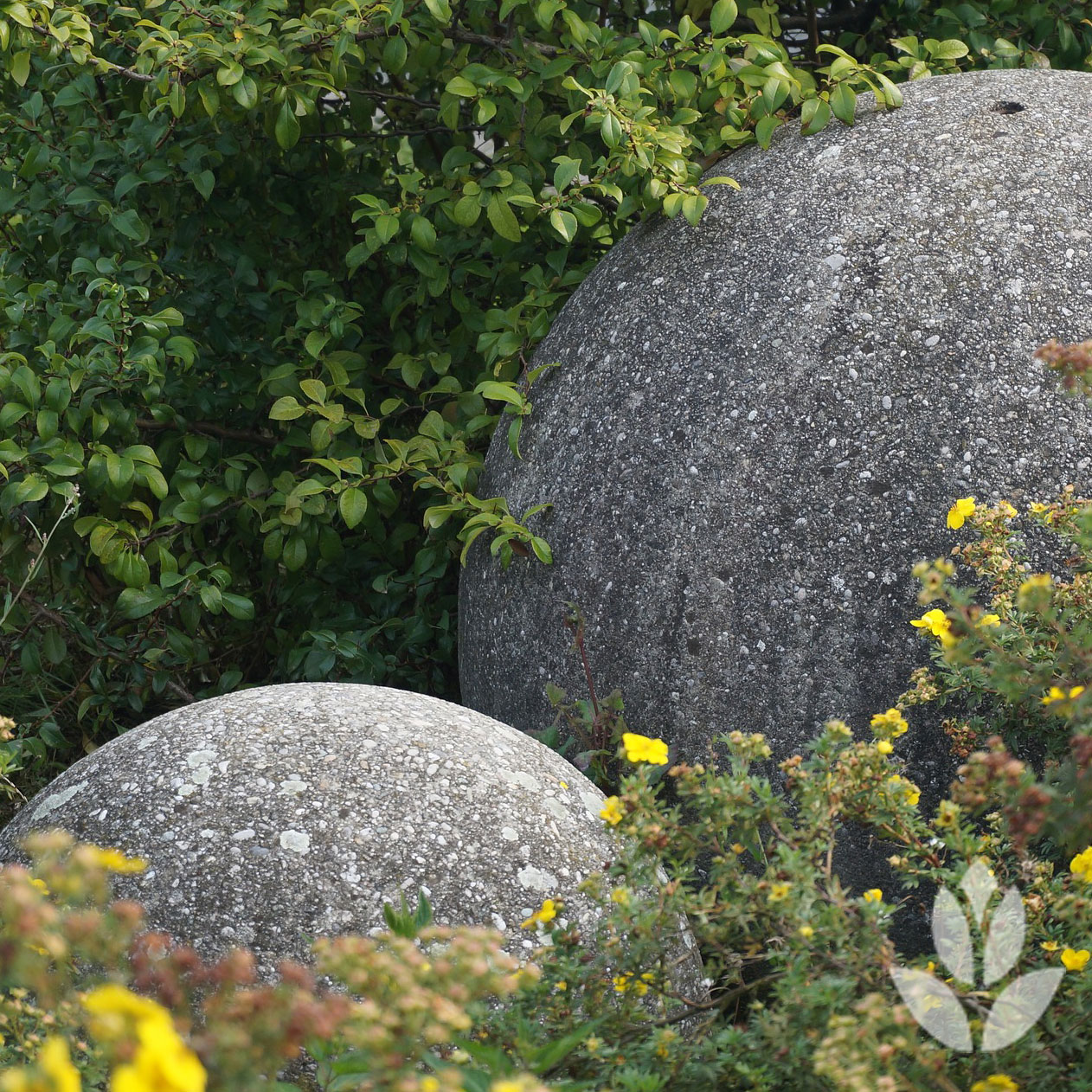 jardin de rocaille