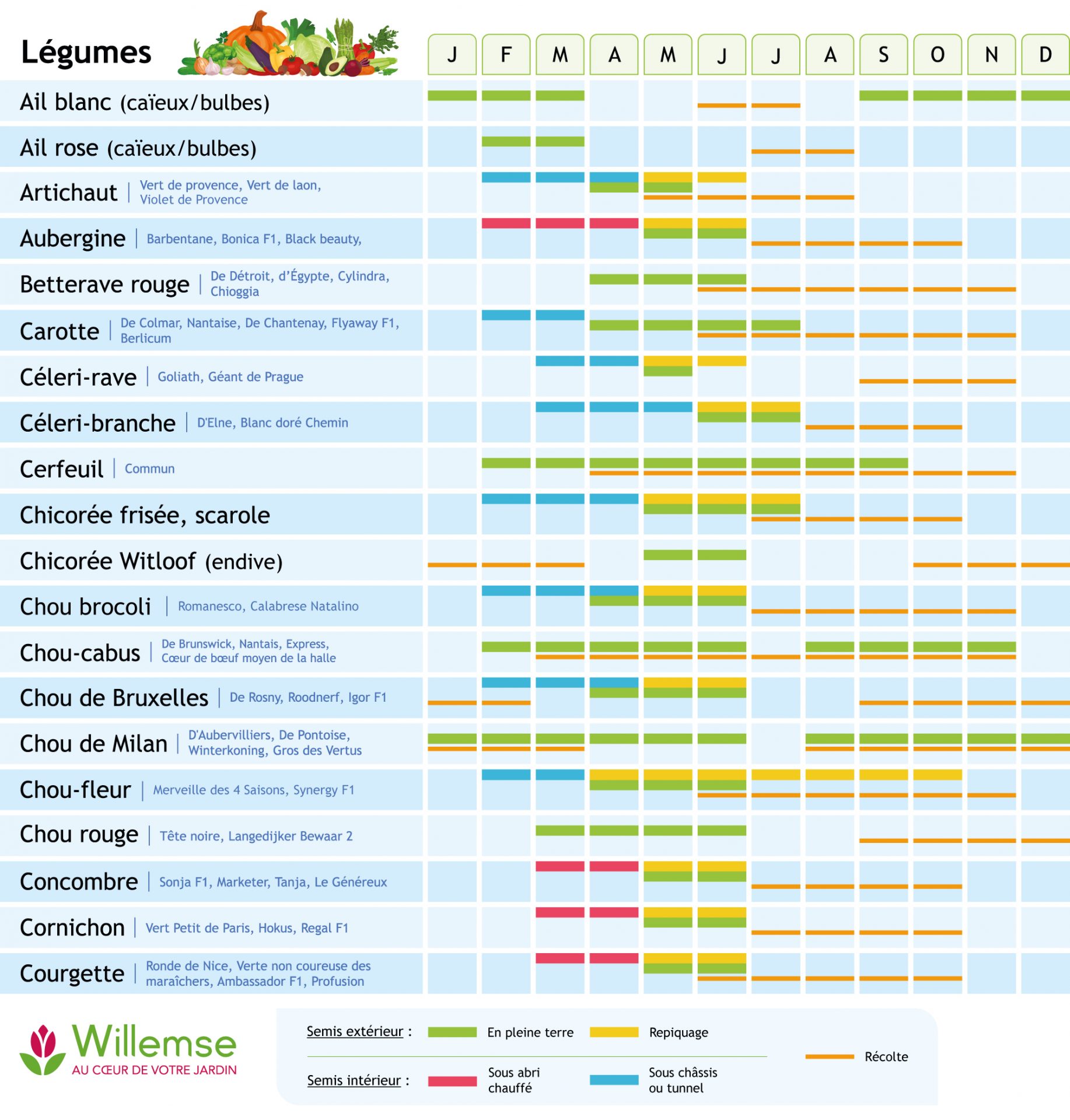 Calendrier des semis et des récoltes des légumes au potager