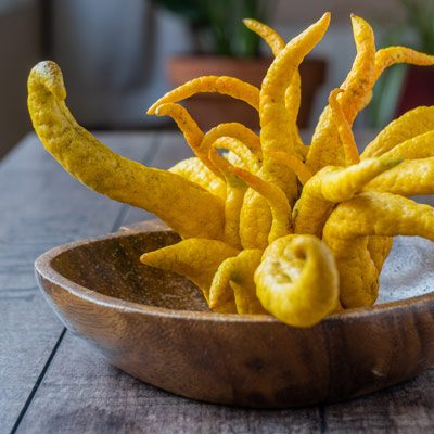 Fruits Main de Bouddha Agrumes jaunes Panier Citrus medica
