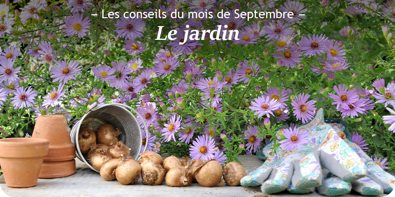 Les conseils du mois de septembre au jardin