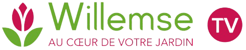 Logo-wilemse-tv