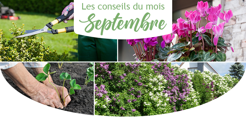 Les conseils du mois de septembre