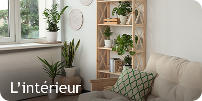 Les conseils du mois de septembre pour l'intérieur