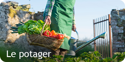 Les conseils du mois de septembre sur le potager